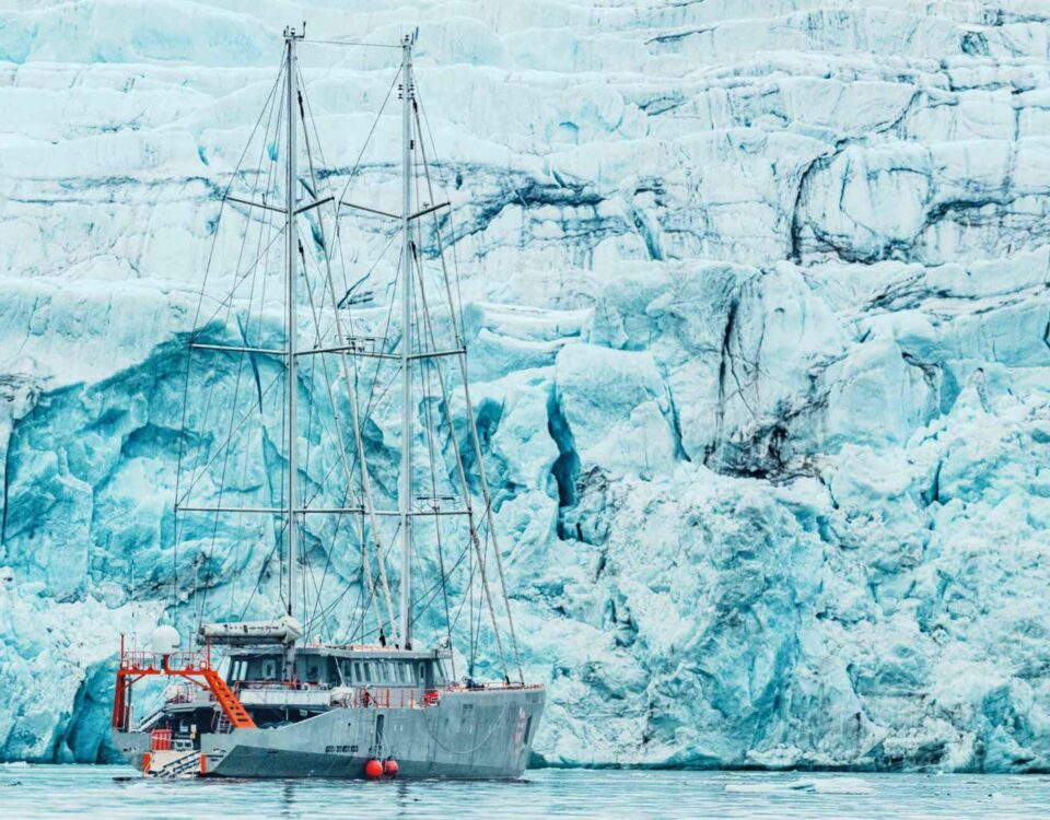 Sprizberg l'Adieu au Froid