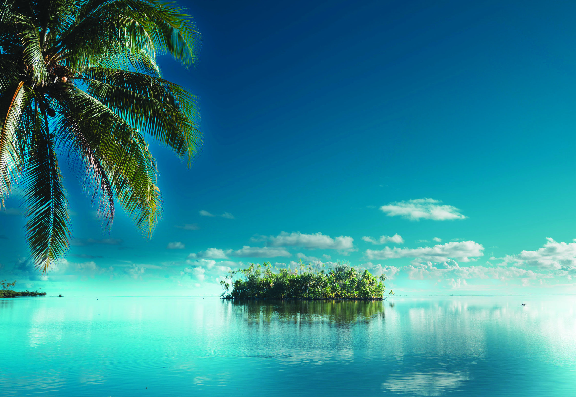 Un « motu », l’un de ces îlots abandonnés que des familles réinvestissent depuis quelques années.