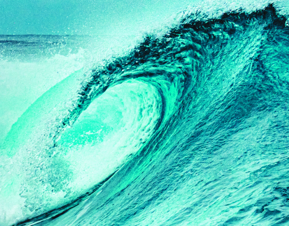 AU CŒUR DE LA VAGUE