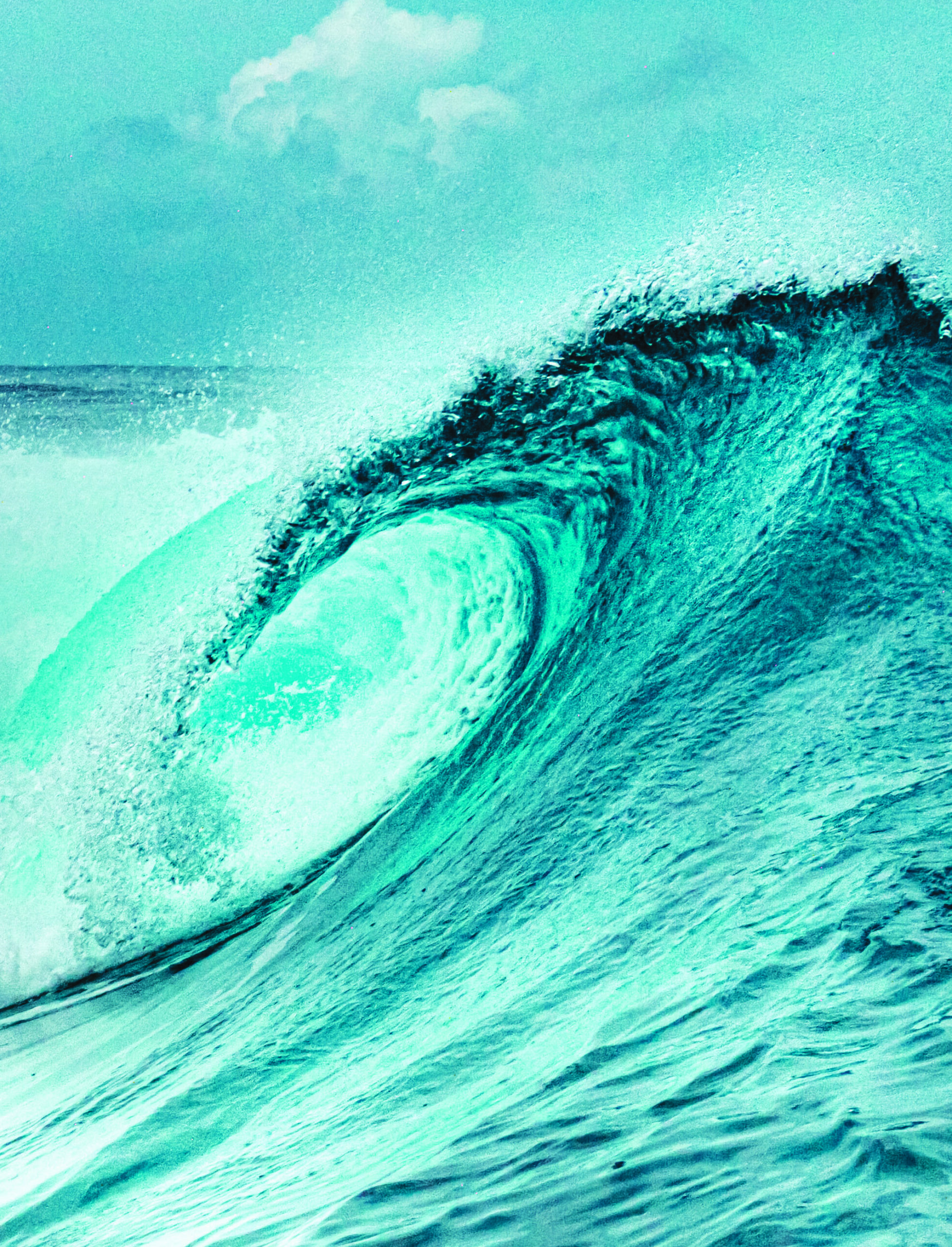 AU CŒUR DE LA VAGUE