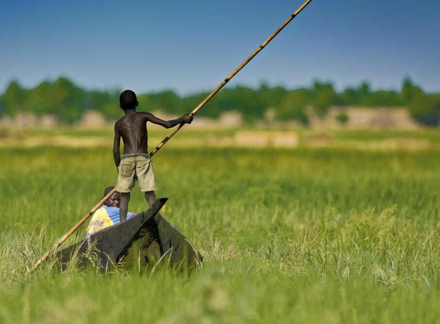 "Civilisation des pirogues"