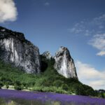 La Biovallée un Laboratoire Territorial pour l’Avenir