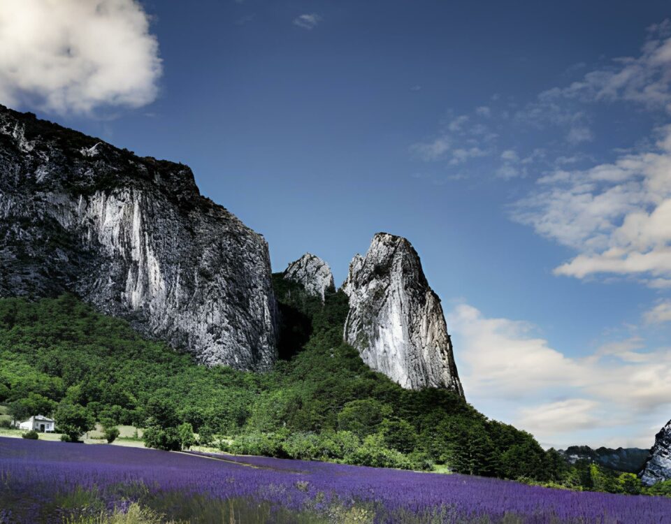 La Biovallée un Laboratoire Territorial pour l’Avenir