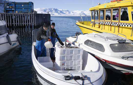 Pêcheurs de Kapisillit